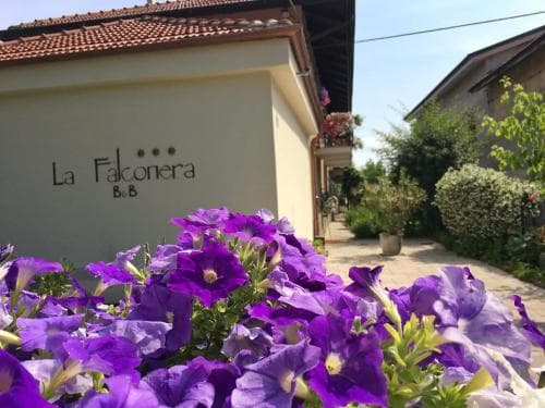 Bed & Breakfast La Falconera