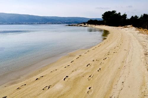 A serene beach scene with sandy shores marked by footprints, calm waters, distant hills, and lush greenery, ideal for tranquil coastal getaways.
