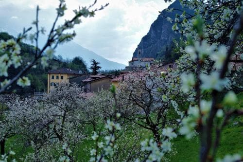 Bed & Breakfast Posta Pregasina