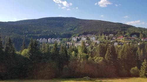 ALPINA Mountain View Apartment