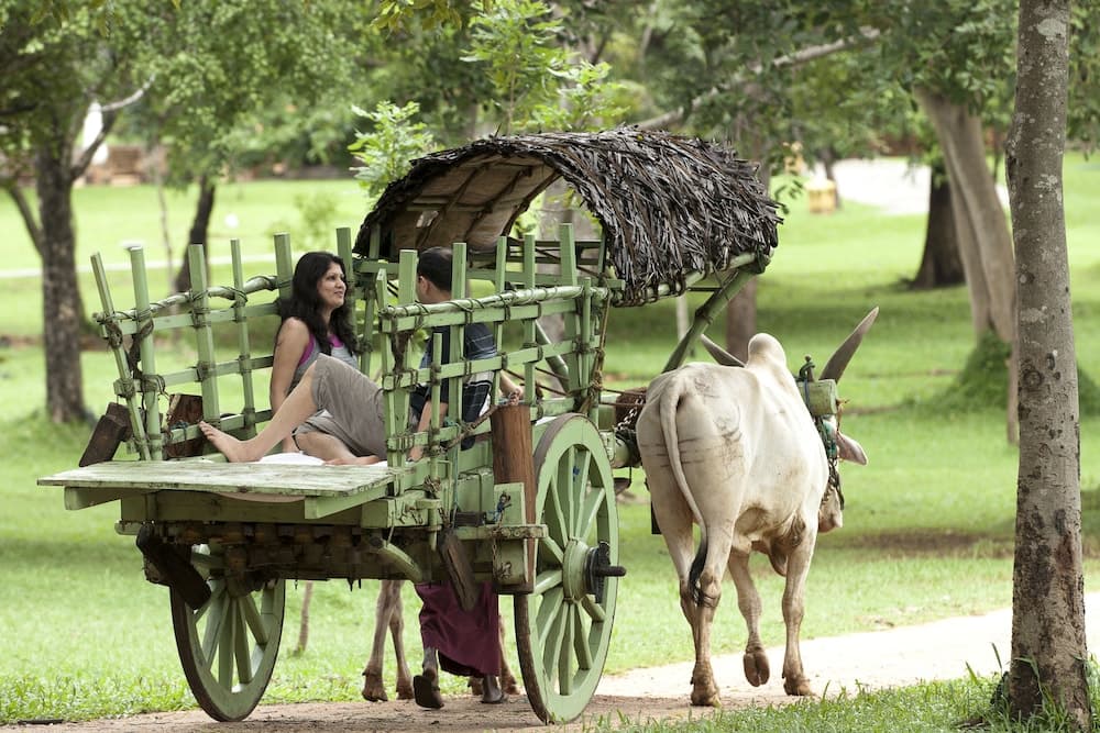 Amaya Lake Dambulla