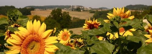 Chateau Du Rayet