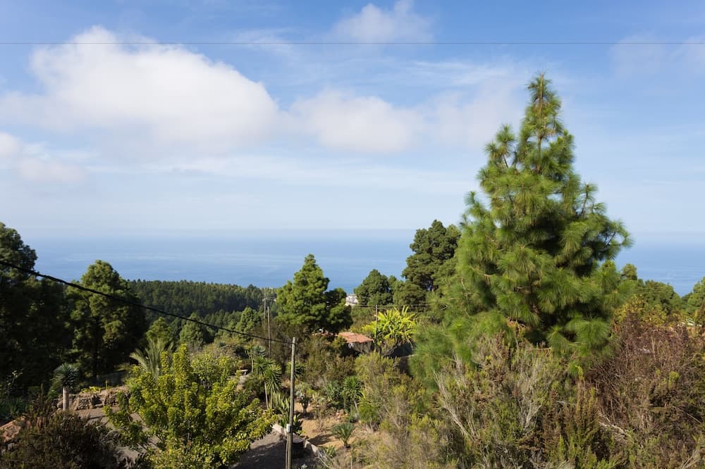 Finca Casa Yaya