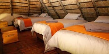 Ndlovu Camp