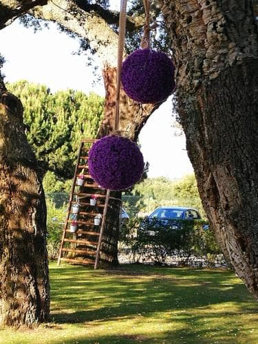 Quinta Lagus Resort