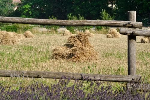 Le Macine Relais