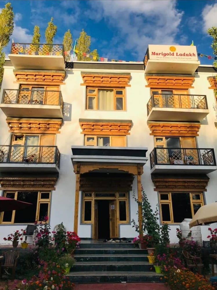 Marigold Ladakh