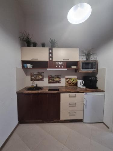 Nemuno upės apartamentai