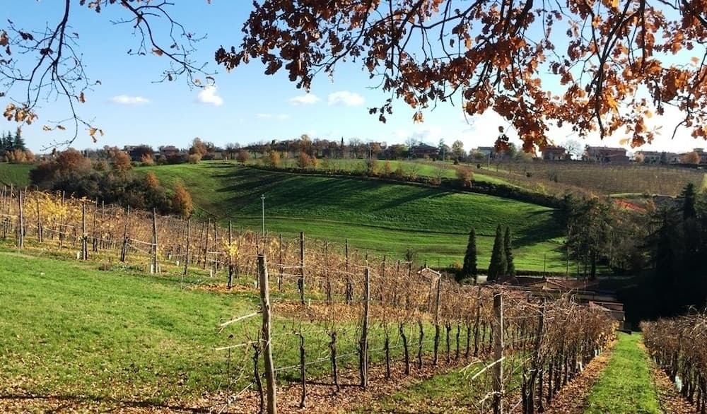 Ca' Dei Sogni
