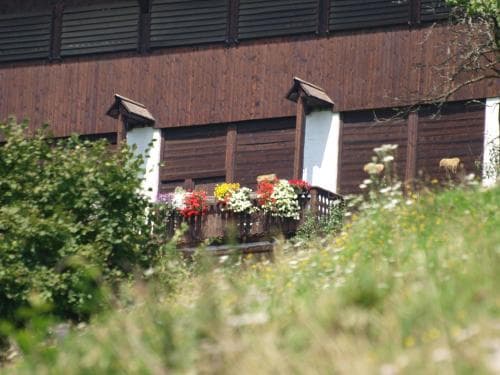 Hochfelner - Stockerhof