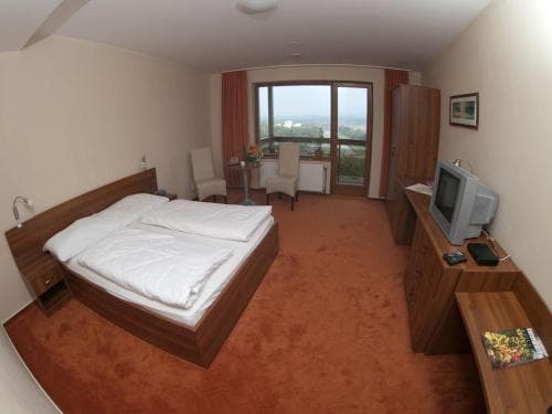 Hotel Panorama