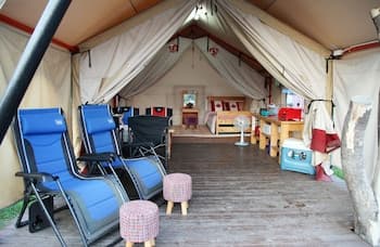 Pine Tree Camping