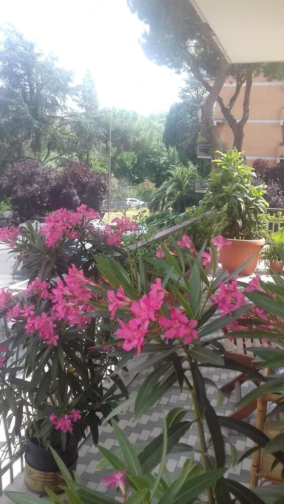 La Mariposa B&B