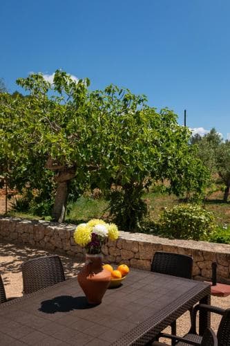 Finca Can Cova Camp