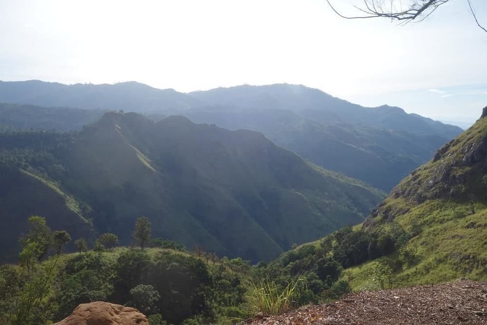 Nice View Homestay