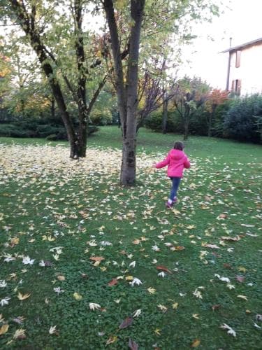 A child joyfully skips through a vibrant autumn park scattered with colorful fallen leaves, ideal for family outings and seasonal photo opportunities.