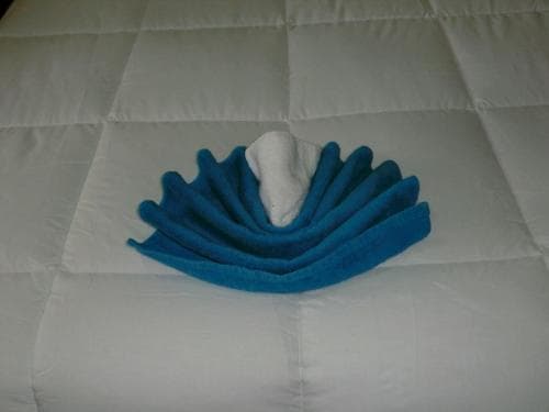 Hotel Princess Raven