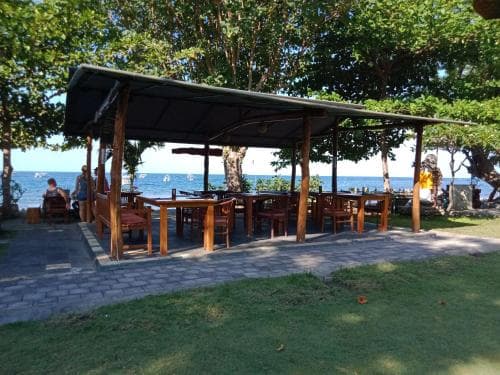 A serene beachside café shaded by lush greenery offers wooden tables under a metal roof, perfect for travelers seeking a tranquil seaside dining experience.