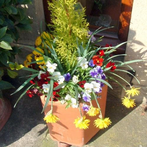 Yew Tree Cottage B&B
