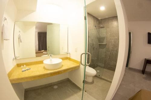 HOTEL REFORMA 14