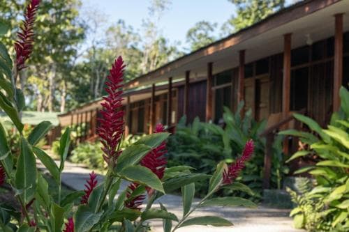 Laguna Lodge
