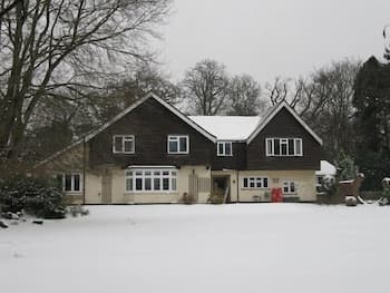 Little Forest Lodge