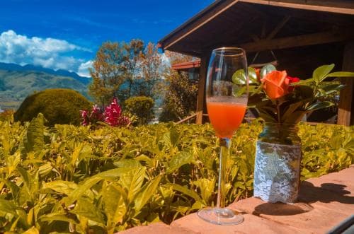 Hotel Rancho Constanza
