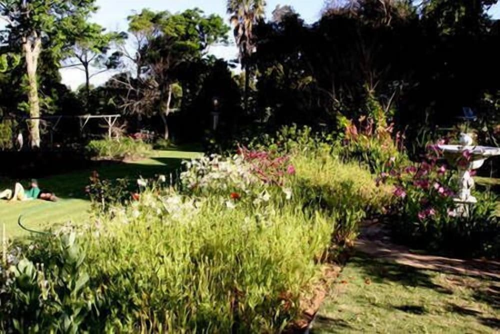 Constantia Woods