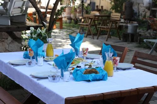 Shulamit Yard