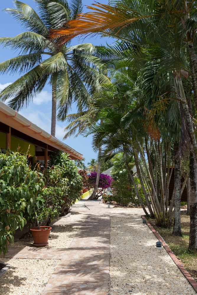 Toucan Inn