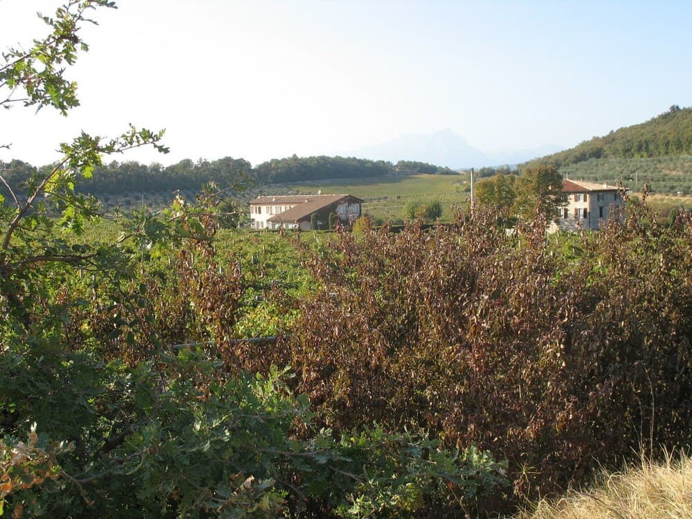 Ca Vettor