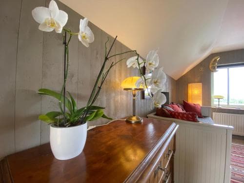 B&B Borgunda