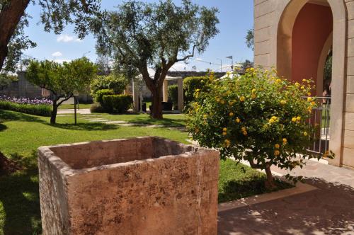 Villa Rosa Antico