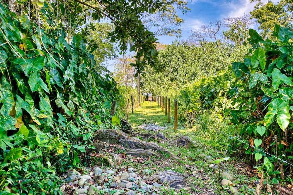 Villas Pina