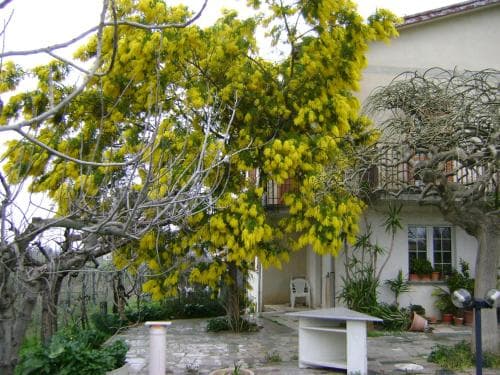 B&B La Mimosa