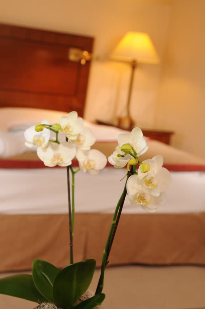 Brunfels Hotel