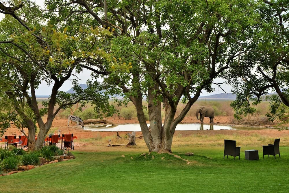 A serene safari lodge scene features lush greenery, a tranquil waterhole with grazing wildlife including a zebra and elephant, inviting outdoor seating under large trees, ideal for travelers seeking a peaceful wildlife viewing experience.
