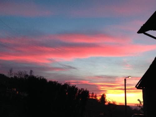 A serene suburban sunset scene with vibrant pink and blue skies, silhouetted trees, and a streetlamp glowing softly, ideal for travelers seeking tranquil evening vistas.