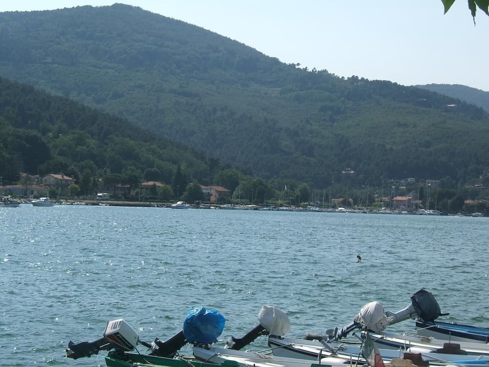A serene lakeside scene with motorboats in the foreground, surrounded by lush green hills and quaint houses, ideal for tranquil boating and nature retreats.