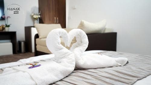 Hotel Irisz
