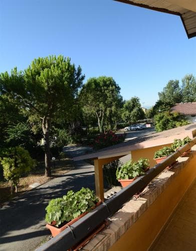 A serene balcony view overlooking a quiet residential street lined with lush green trees and vibrant potted plants, ideal for travelers seeking a peaceful retreat in a suburban setting.