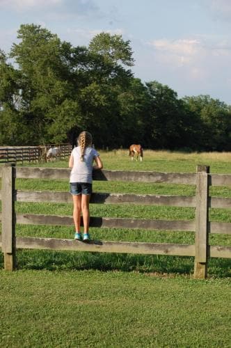 Sweetspire Ranch
