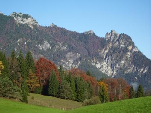 A serene autumn landscape features vibrant evergreen and deciduous trees in front of rugged mountains, ideal for nature photography and hiking enthusiasts seeking tranquil outdoor adventures.