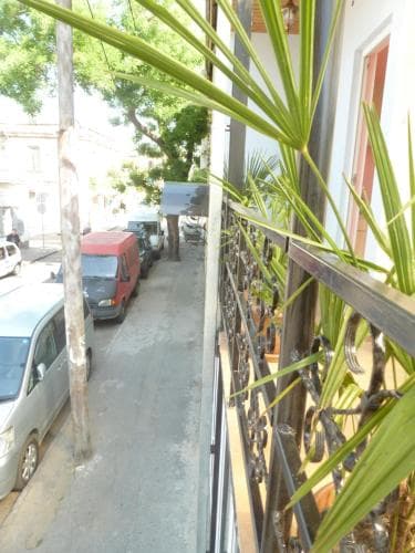 A serene urban balcony view framed by lush palm leaves overlooks a quiet street lined with parked cars, ideal for travelers seeking a peaceful city retreat.