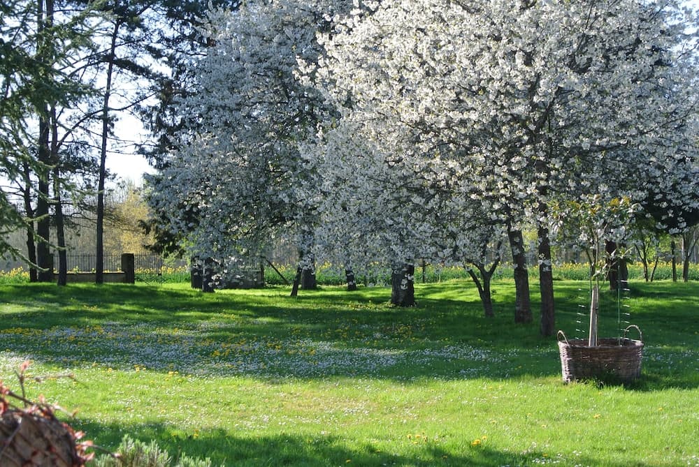 Le Moulin De Vrin