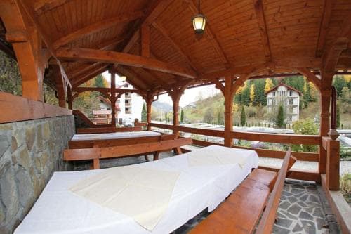 Hotel Paltinis