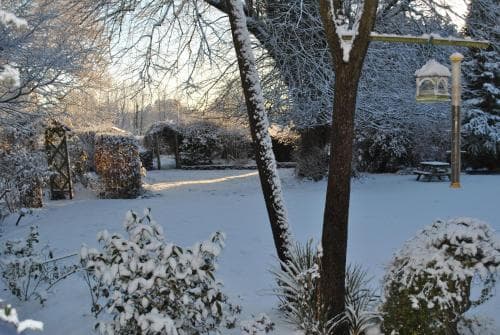 Elmfield Bed And Breakfast