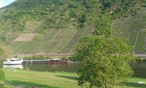 Ferienweingut Zenz