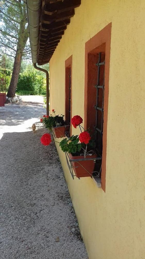 Il Grappolo e la Rosa