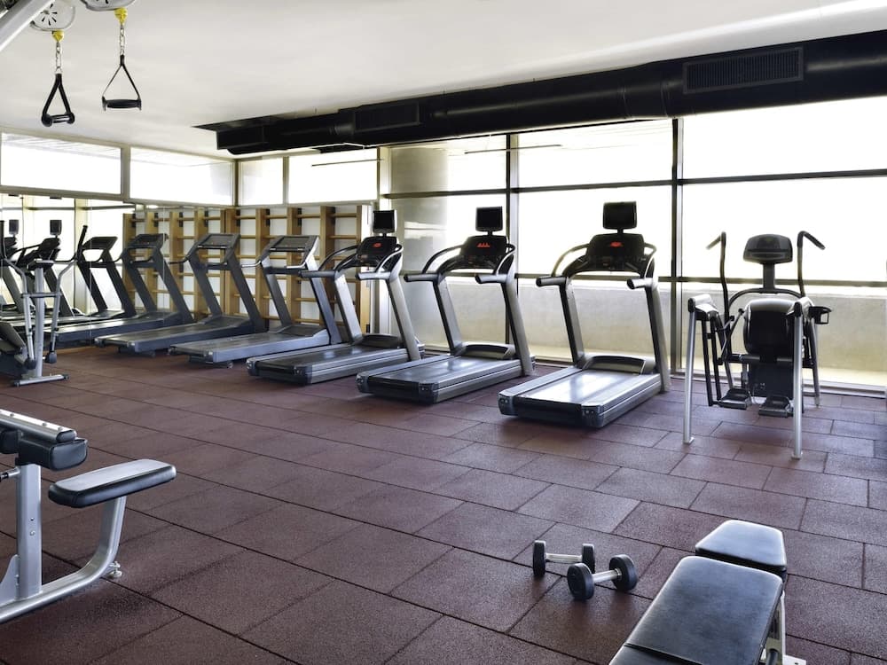 A bright, modern gym with rows of treadmills, weight benches, and dumbbells offers a serene workout space ideal for fitness enthusiasts seeking a well-equipped environment.